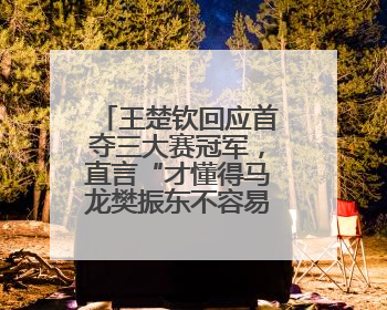王楚钦回应首夺三大赛冠军，直言“才懂得马龙樊振东不容易”，王励勤：增添很大信心