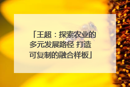 王超：探索农业的多元发展路径 打造可复制的融合样板