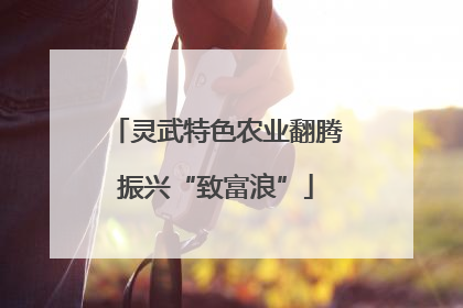灵武特色农业翻腾振兴“致富浪”