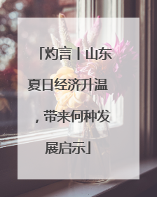 灼言丨山东夏日经济升温，带来何种发展启示