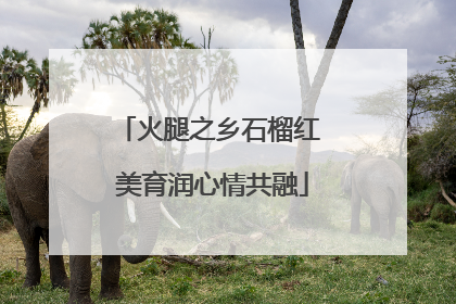 火腿之乡石榴红 美育润心情共融