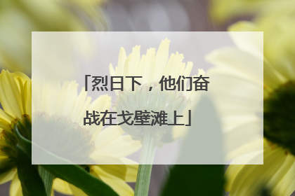 烈日下，他们奋战在戈壁滩上