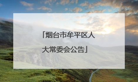 烟台市牟平区人大常委会公告