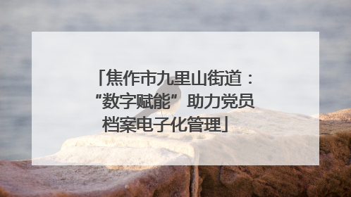 焦作市九里山街道：“数字赋能”助力党员档案电子化管理