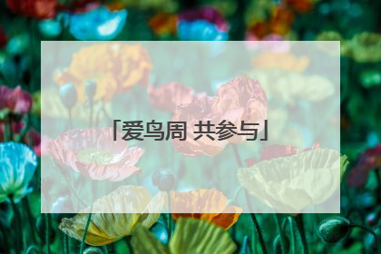 爱鸟周 共参与