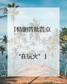 特朗普批普京“在玩火”