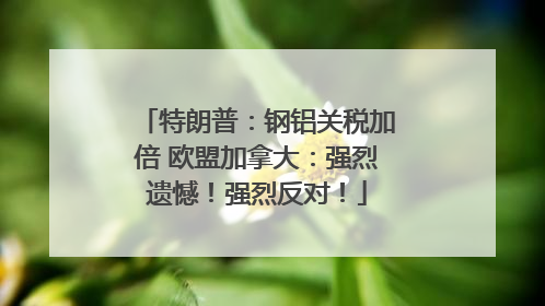 特朗普：钢铝关税加倍 欧盟加拿大：强烈遗憾！强烈反对！