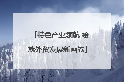 特色产业领航 绘就外贸发展新画卷