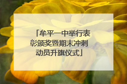 牟平一中举行表彰颁奖暨期末冲刺动员升旗仪式