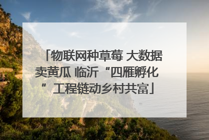 物联网种草莓 大数据卖黄瓜 临沂“四雁孵化”工程链动乡村共富