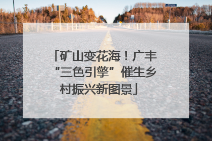 矿山变花海！广丰“三色引擎”催生乡村振兴新图景