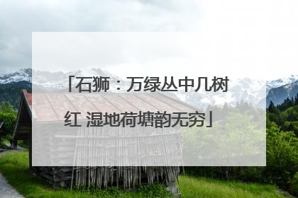石狮：万绿丛中几树红 湿地荷塘韵无穷