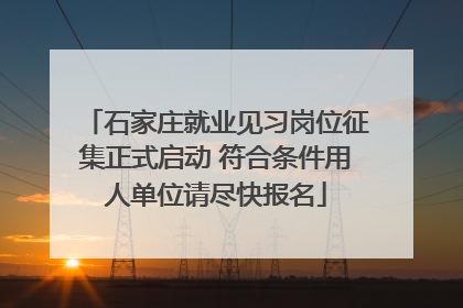 石家庄就业见习岗位征集正式启动 符合条件用人单位请尽快报名