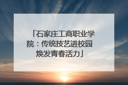 石家庄工商职业学院：传统技艺进校园焕发青春活力