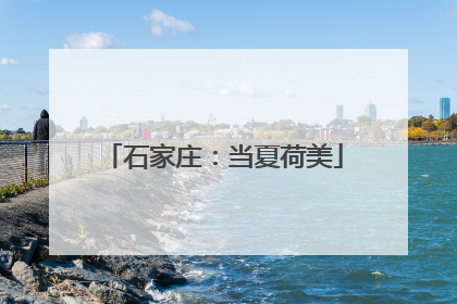 石家庄：当夏荷美