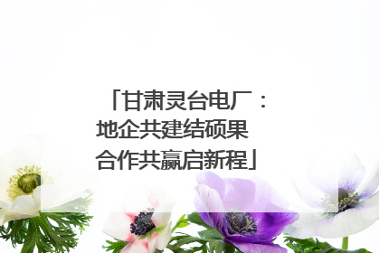 甘肃灵台电厂：地企共建结硕果 合作共赢启新程