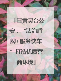 甘肃灵台公安：“法治盾牌+服务快车”打造优质营商环境