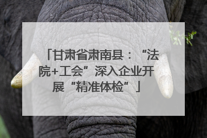 甘肃省肃南县：“法院+工会”深入企业开展“精准体检”