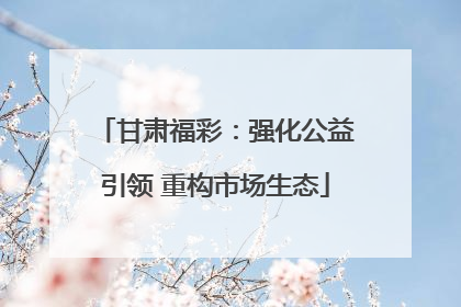 甘肃福彩：强化公益引领 重构市场生态