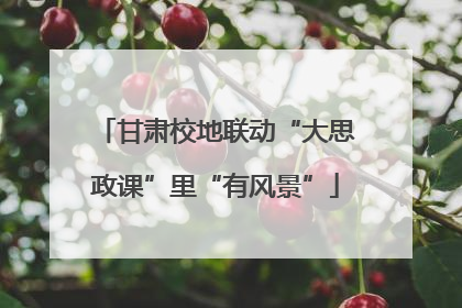 甘肃校地联动“大思政课”里“有风景”