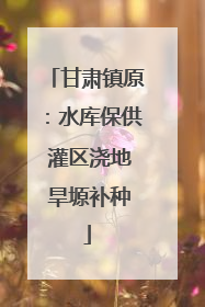 甘肃镇原：水库保供 灌区浇地 旱塬补种