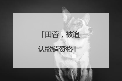 田蓉，被追认撤销资格