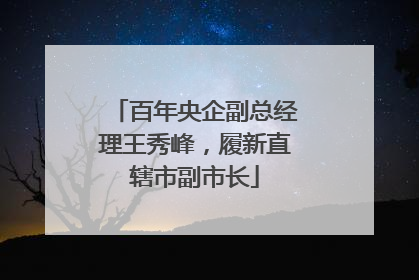百年央企副总经理王秀峰，履新直辖市副市长