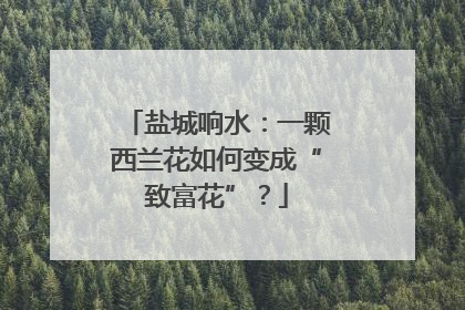 盐城响水：一颗西兰花如何变成“致富花”？