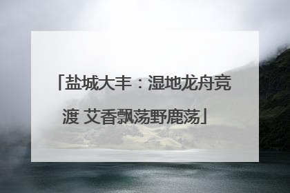 盐城大丰：湿地龙舟竞渡 艾香飘荡野鹿荡