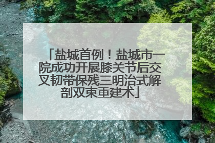 盐城首例！盐城市一院成功开展膝关节后交叉韧带保残三明治式解剖双束重建术