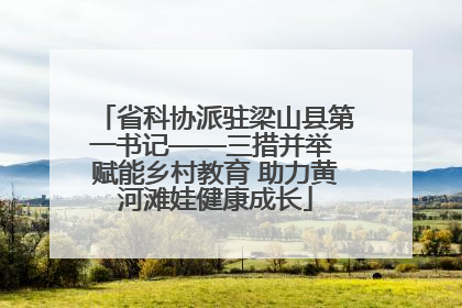省科协派驻梁山县第一书记——三措并举 赋能乡村教育 助力黄河滩娃健康成长
