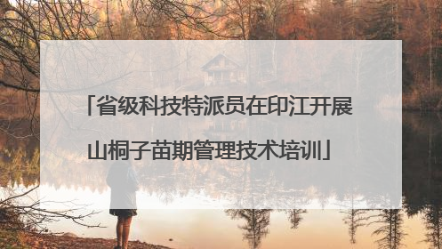 省级科技特派员在印江开展山桐子苗期管理技术培训