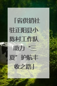 省供销社驻正阳县小陈村工作队 助力“三夏”护航丰收之路