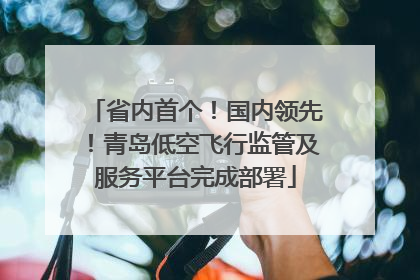 省内首个！国内领先！青岛低空飞行监管及服务平台完成部署