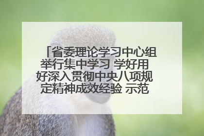 省委理论学习中心组举行集中学习 学好用好深入贯彻中央八项规定精神成效经验 示范带头持续推动全省学习教育走深走实