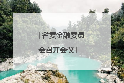 省委金融委员会召开会议