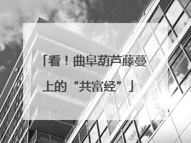 看！曲阜葫芦藤蔓上的“共富经”