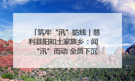 筑牢“汛”防线｜慈利县阳和土家族乡：闻“汛”而动 全员下沉筑牢防汛“安全堤”