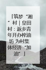 筑梦“湘”村｜皇田村：返乡青年开办榨油坊 为村集体经济“加油”