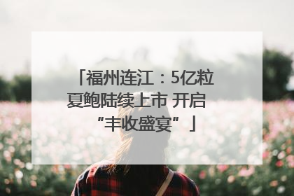 福州连江：5亿粒夏鲍陆续上市 开启“丰收盛宴”