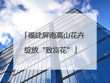 福建屏南高山花卉绽放“致富花”