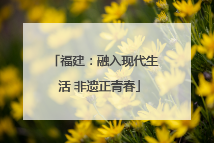 福建：融入现代生活 非遗正青春