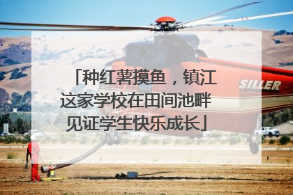 种红薯摸鱼，镇江这家学校在田间池畔见证学生快乐成长