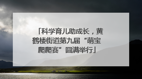 科学育儿助成长，黄鹤楼街道第九届“萌宝爬爬赛”圆满举行