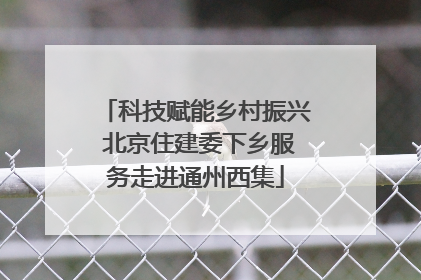 科技赋能乡村振兴 北京住建委下乡服务走进通州西集