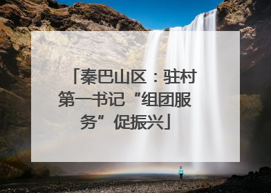 秦巴山区：驻村第一书记“组团服务”促振兴