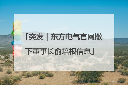 突发｜东方电气官网撤下董事长俞培根信息