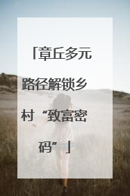 章丘多元路径解锁乡村“致富密码”