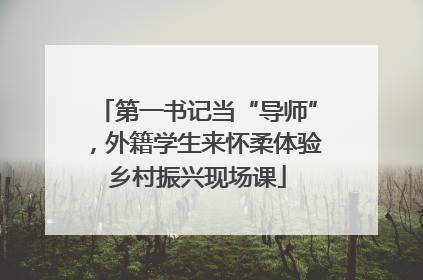 第一书记当“导师”，外籍学生来怀柔体验乡村振兴现场课