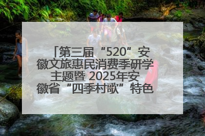 第三届“520”安徽文旅惠民消费季研学主题暨 2025年安徽省“四季村歌”特色展演燃动池州
